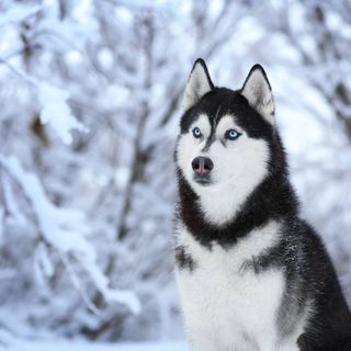 Profile Picture of Miranda Mahabir (@miranda.mahabir.92) on Facebook