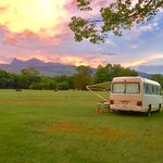 Profile Picture of Rosalind Clarke (@random_acts_of_rosalind) on Instagram