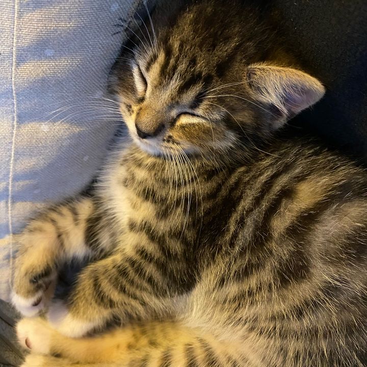 Profile Picture of bethcocken (@bethcocken) on Tiktok