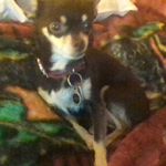 Profile Picture of Malachi Eugene Rivera (@malachrivera) on Instagram