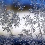 Profile Picture of Jean Treloar-Wenk (@treloarwenk) on Instagram