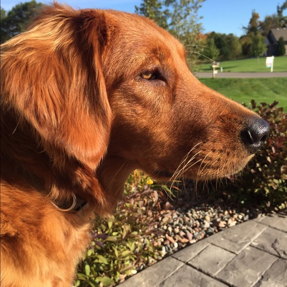 Profile Picture of Jen Andvik (@nels2753) on Poshmark