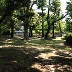 Profile Picture of Gaku Kakizaki (@gakukakizaki) on Instagram