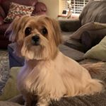 Profile Picture of Pam Blevins (@prblevins61) on Instagram