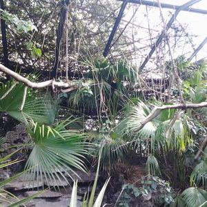 Profile Picture of Valentin Becerra (@9f60ba32abe1427) on Twitter