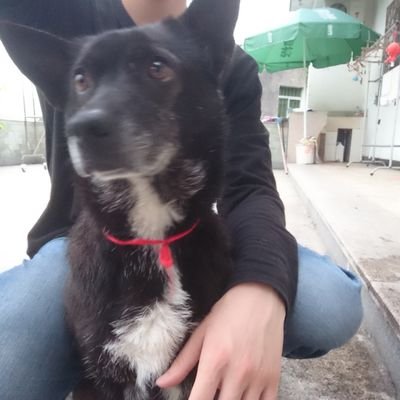 Profile Picture of Luke Sun (@lukesun713) on Twitter