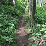 Profile Picture of Joe Bidwell (@joe.bidwell) on Instagram