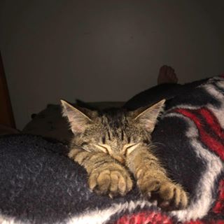 Profile Picture of Andrew Drollinger (@Andrew-Drollinger) on Facebook