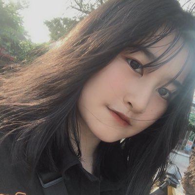 Profile Picture of Alice Hoang (@aliceho87318421) on Twitter