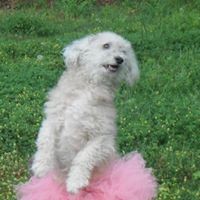 Profile Picture of Kim Moreno (@kim-moreno-11) on Quora