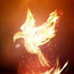 Profile Picture of Joshua Reid (@reidjosh_j03) on Instagram