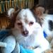 Profile Picture of Dawn Cannings (@dawncannings) on Pinterest