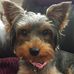 Profile Picture of Joyce Prentice (@joyce.prentice.927) on Facebook