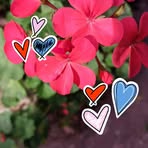 Profile Picture of Iris Moro (@iris.moro.77) on Facebook