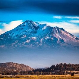 Profile Picture of D (@AndrewDiggle4) on Twitter