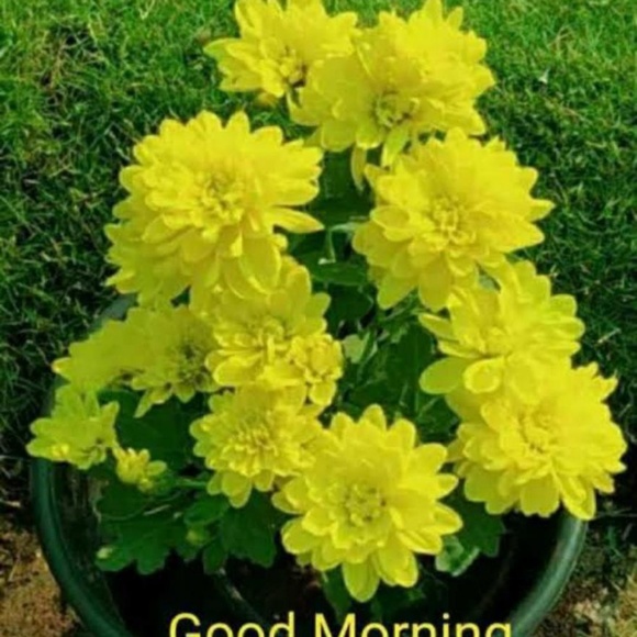 Profile Picture of Mugdha Panaskar (@mugdhapanaskar) on Poshmark