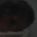 Profile Picture of Leo Baca (@leo.baca.5680) on Facebook