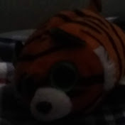 Profile Picture of Megan Hamp (@mhamp22) on Youtube