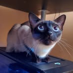 Profile Picture of Nicholas Seiler (@Nicholas-Seiler) on Facebook