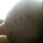 Profile Picture of Amanda Naccarato (@strongestfaith) on Instagram