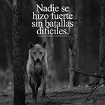 Profile Picture of Lily Parra (@lily.parra.7921) on Instagram