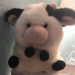 Profile Picture of Claire Mohrland (@claires_care_bears) on Instagram