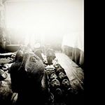 Profile Picture of everett_longm (@everett_longm) on Instagram