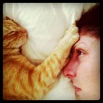 Profile Picture of Chris Gagliardi (Farinella) (@chrislgagliardi) on Instagram