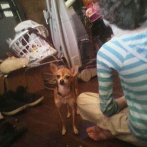 Profile Picture of Mac Funk (@mac_funk) on Twitter