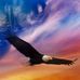 Profile Picture of Patrick Barta (@patrick.barta.739) on Facebook