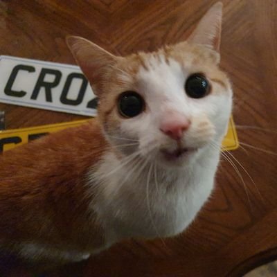 Profile Picture of CryptoSid (@DefiOctopus) on Twitter