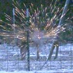 Profile Picture of Curt Parker (@curtparker22) on Instagram