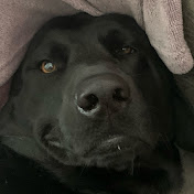 Profile Picture of Gabriel Mikles (@GabeM18) on Youtube