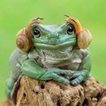 Profile Picture of Konstancja Pieczykolan (@hebiehh) on Instagram