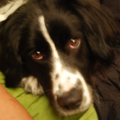 Profile Picture of Amanda Render (@AmandaRender) on Twitter