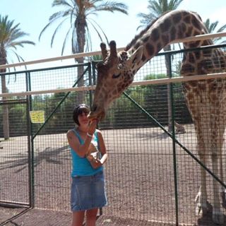 Profile Picture of Andrea Taylor (@Andrea-Taylor) on Facebook