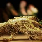 Profile Picture of Kenneth Aden Jay Scott (@prickishpuppy) on Instagram