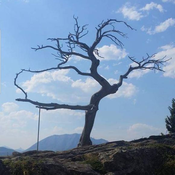 Profile Picture of Sam joe Hayden (@sammanthacyr906) on Poshmark