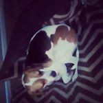 Profile Picture of Graham Galloway (@dollr_tre) on Instagram