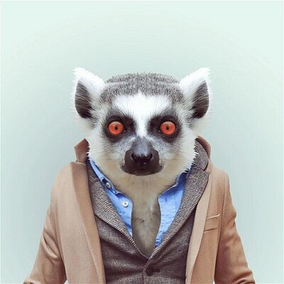 Profile Picture of Frank Möller (@frank25081957) on Twitter