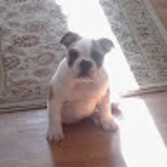 Profile Picture of Mark Kniphfer (@mkniphfer13) on Poshmark