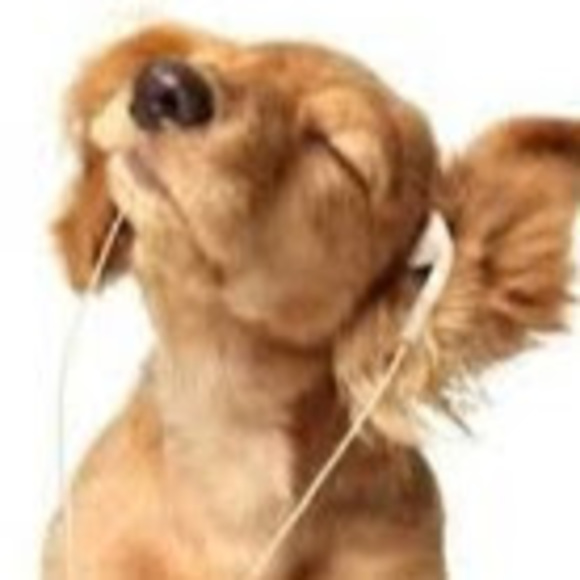 Jazmon White - Poshmark Profile Picture of Jazmon White (@jazmonwhite) on Poshmark