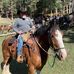 Profile Picture of Mark Engdahl (@mark.engdahl1) on Facebook
