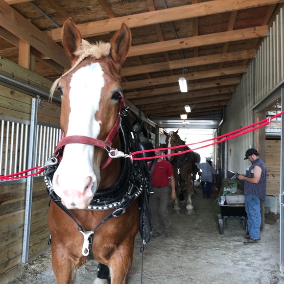 Profile Picture of Katelynn Miller (@katelynn_265) on Poshmark