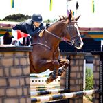 Profile Photo of Elizabeth Green- Owner/Trainer (@threehorsefarm) on Instagram