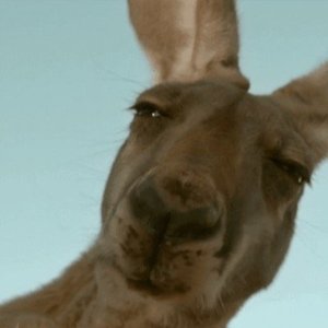 Mason E - Myspace Profile Picture of Mason E (@masone_) on Myspace