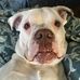 Profile Picture of Gary A Schantz (@garya.schantz) on Facebook