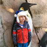 Profile Picture of Brian Weisenberger (@brianweisy) on Instagram