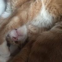 Profile Picture of Jacob Pollard (@jacob-pollard-7) on Quora