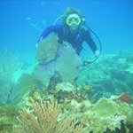 Maggie Sauer - Instagram Profile Picture of Maggie Sauer (@ethelmorrison) on Instagram